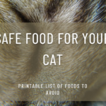 Printable list of food cats can't eat