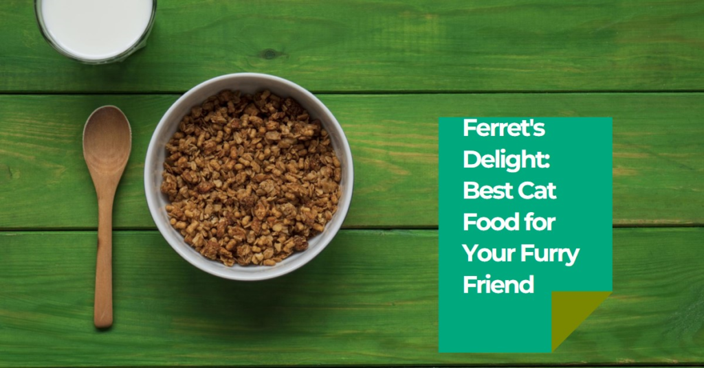 Best cat food for ferrets