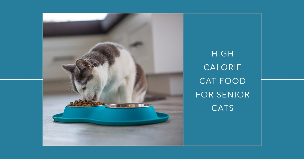 High Calorie Cat Food