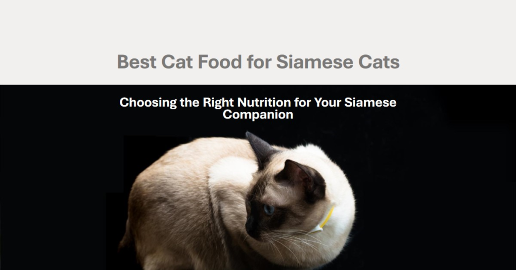 Best Cat Food for Siamese Cats