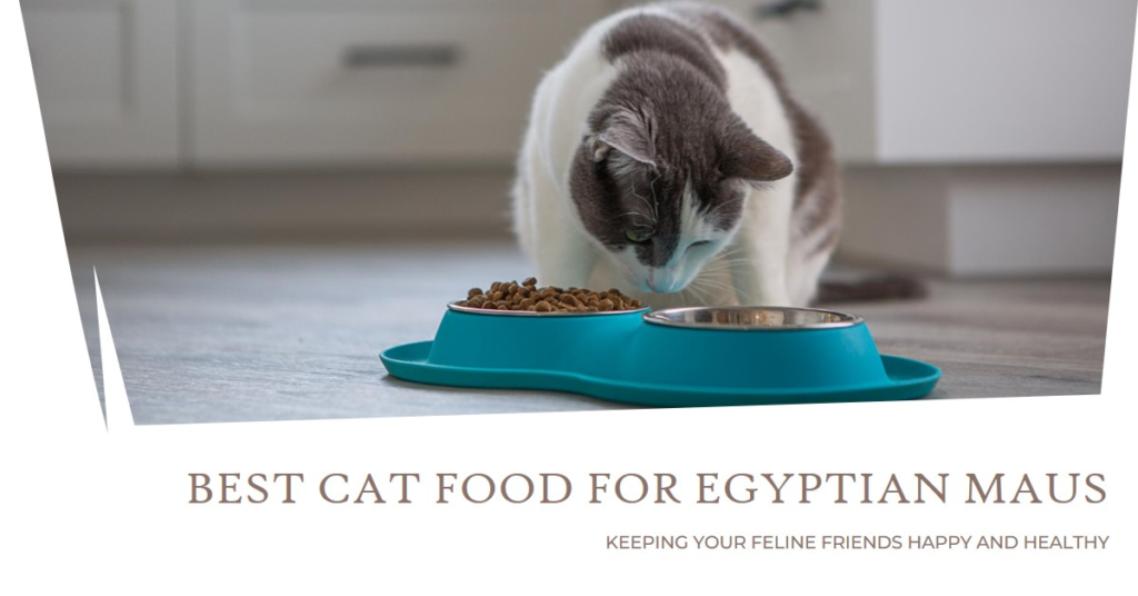 Best Cat Food for Egyptian Mau Cats