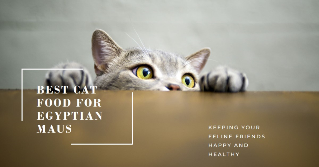 Best Cat Food for Egyptian Mau Cats