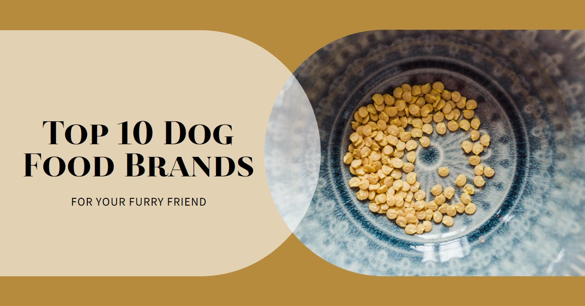 Top 10 Dog Food Brands in USA