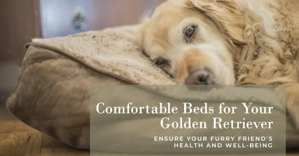 Top Picks for Golden Retriever Dog Beds