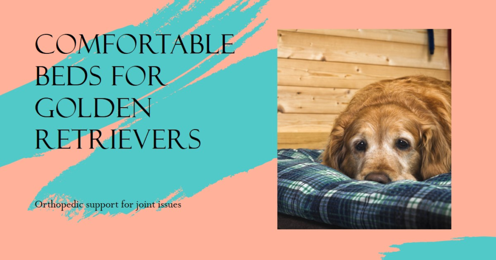 Top Picks for Golden Retriever Dog Beds