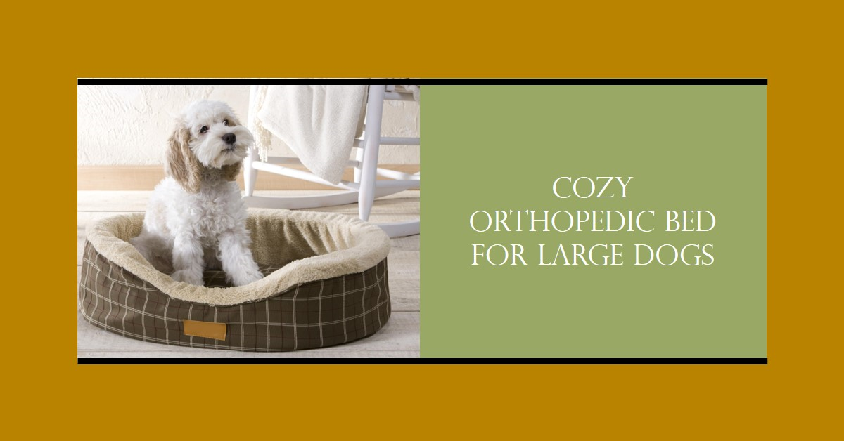 Best Orthopedic Dog Beds for Large Dogs