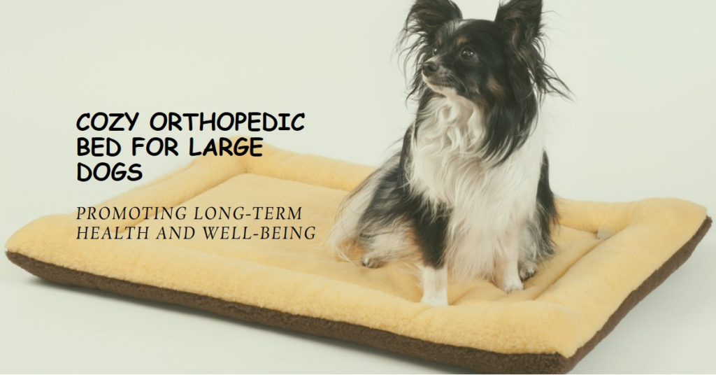 Best Orthopedic Dog Beds for Large Dogs