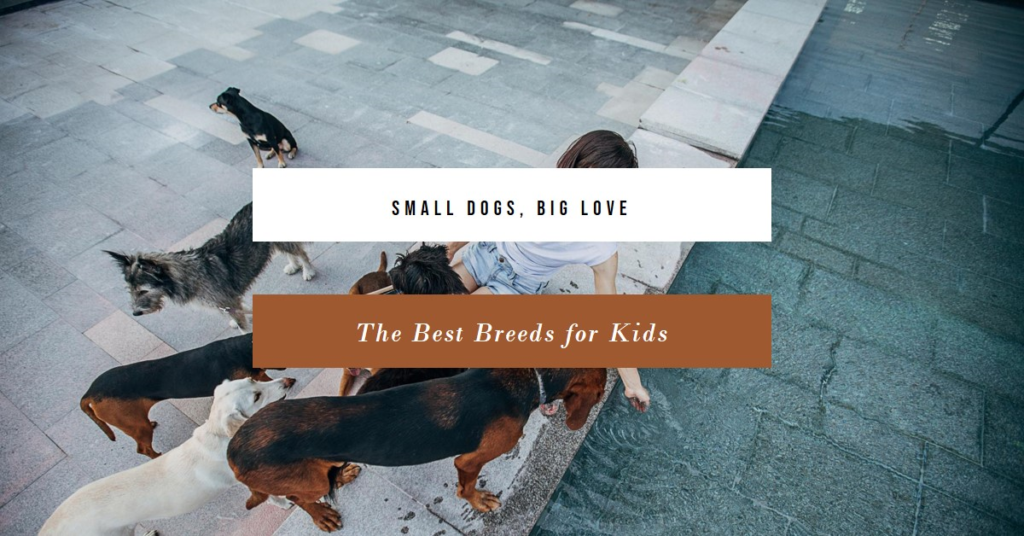 Small Dog Breeds for Kids