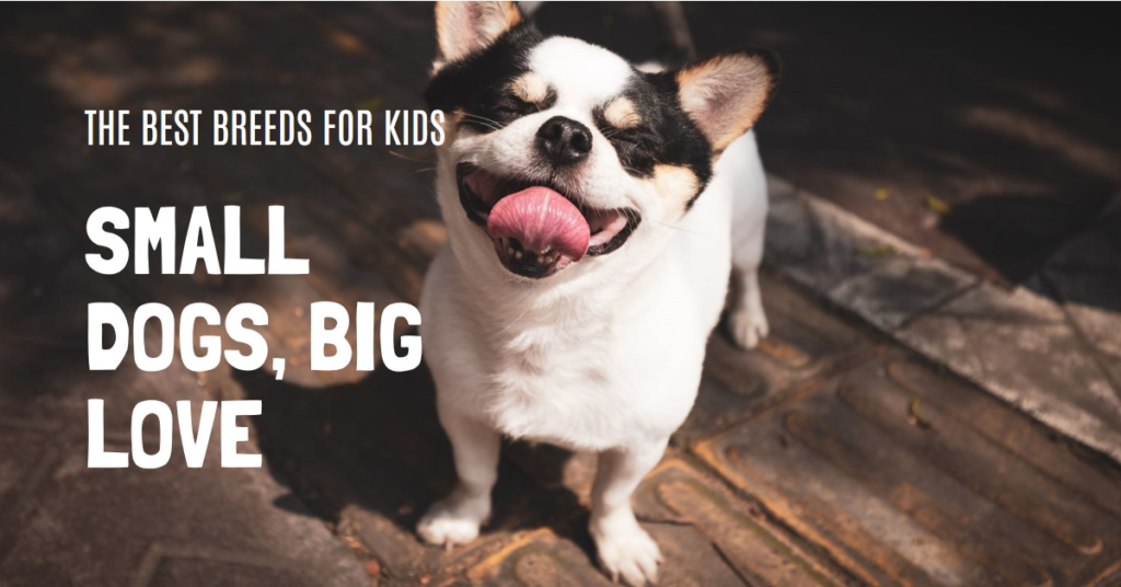 Small Dog Breeds for Kids