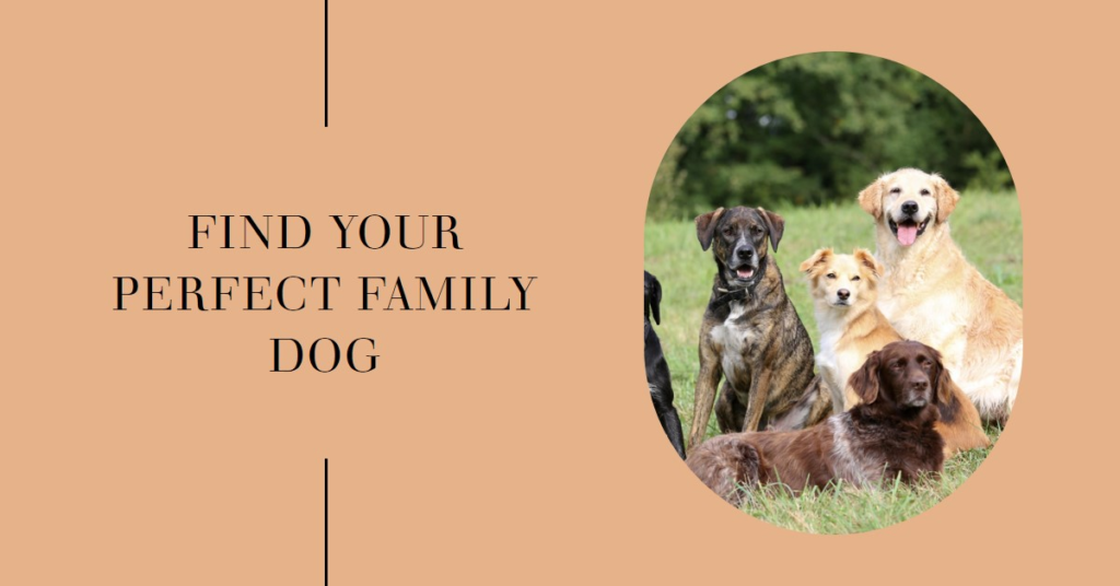 Top dog breeds for families