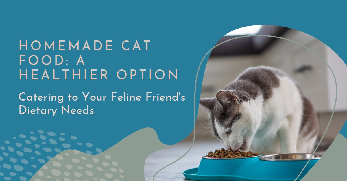 Best homemade food for Cats