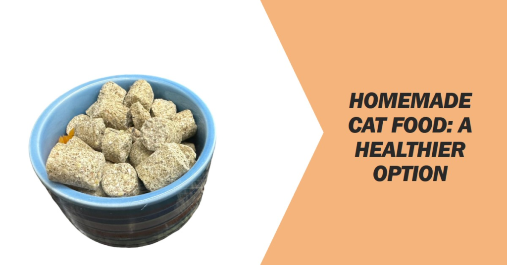 Best homemade food for Cats