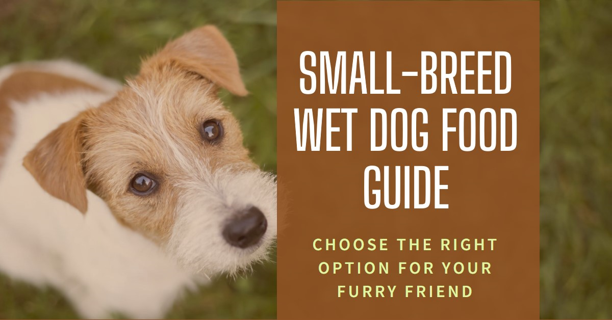 A 2024 Comprehensive Guide to Small Breed Wet Dog Food Options