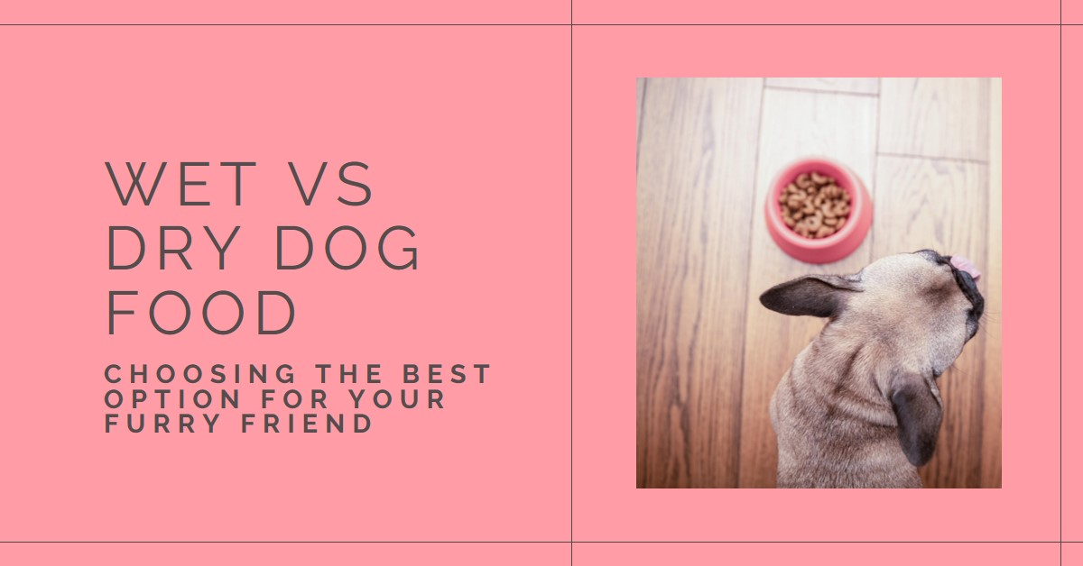 Wet Dog Food versus Dry Dog Food