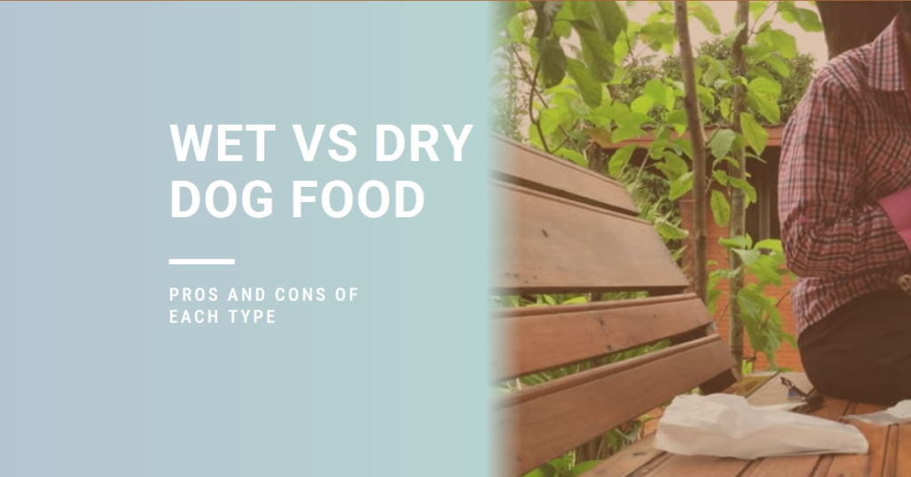 Wet Dog Food versus Dry Dog Food