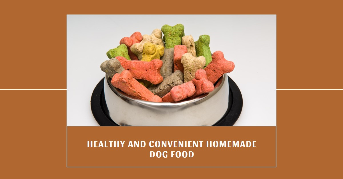 Best Homemade Dehydrated Dog Food