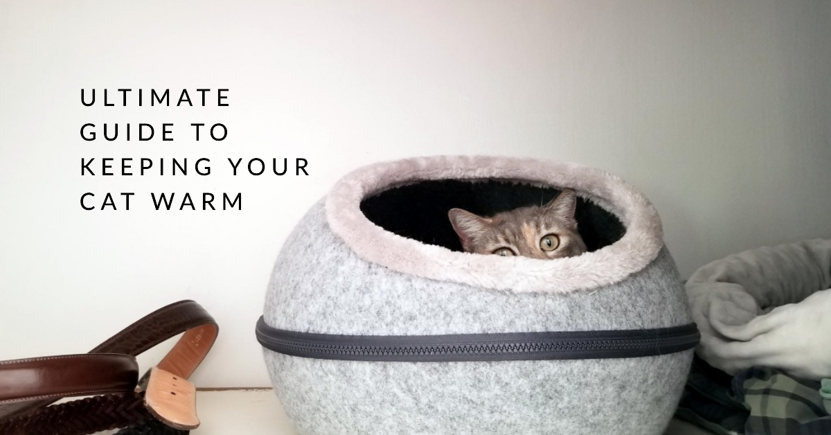 Best Self-Warming Cat Bed for Outdoor Cats