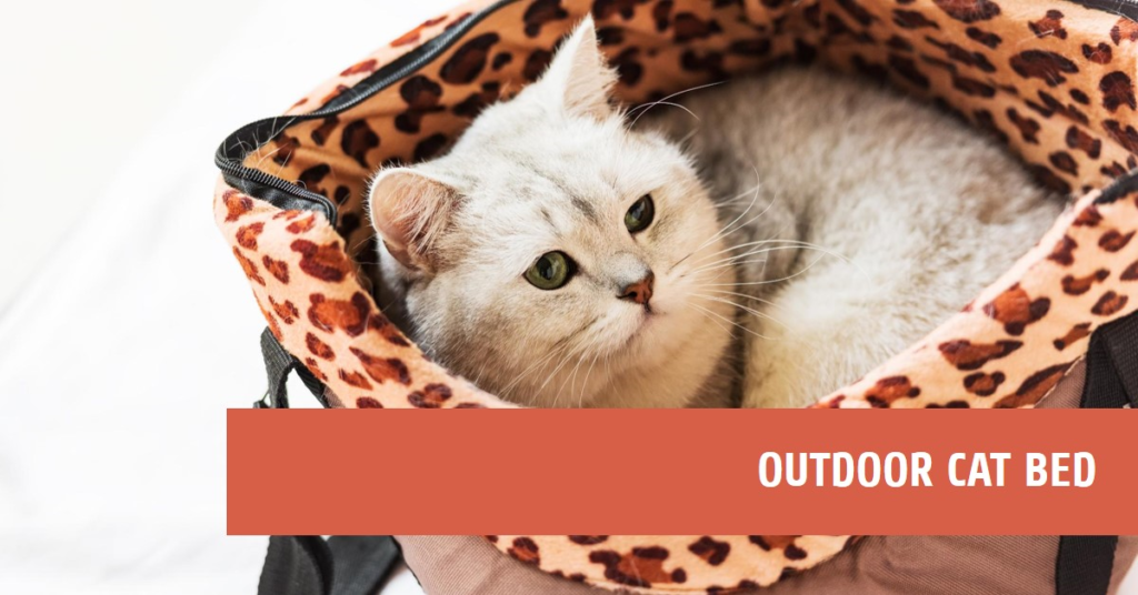 Best Self-Warming Cat Bed for Outdoor Cats