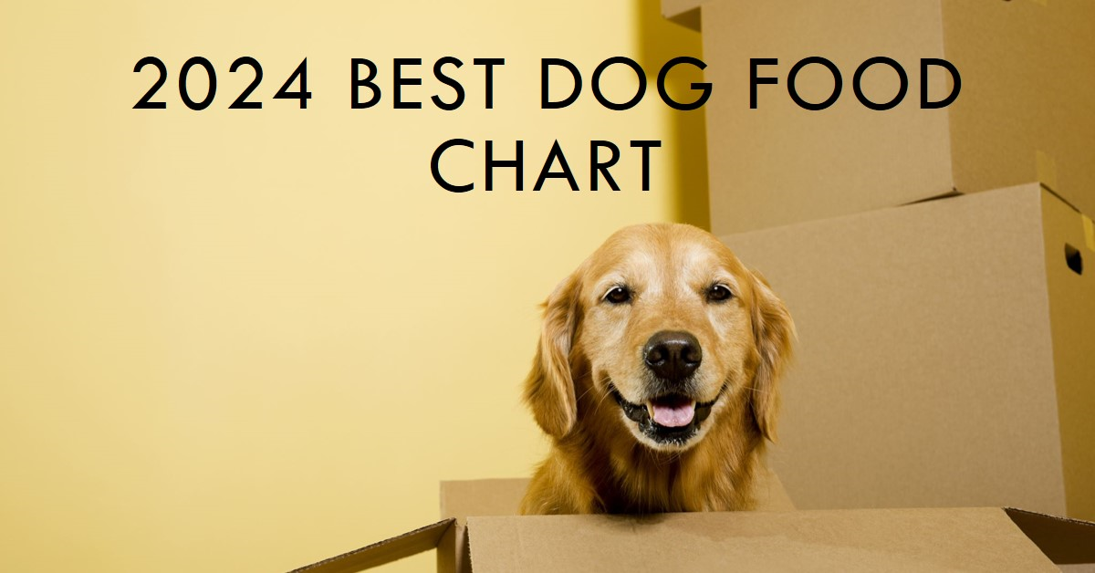 Best Dog food Chart