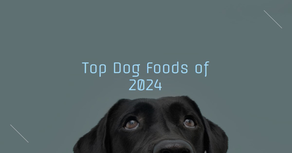 Best dog food brand chart