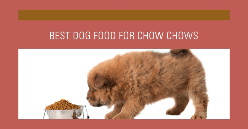 Best Dog Food for Chow Chows