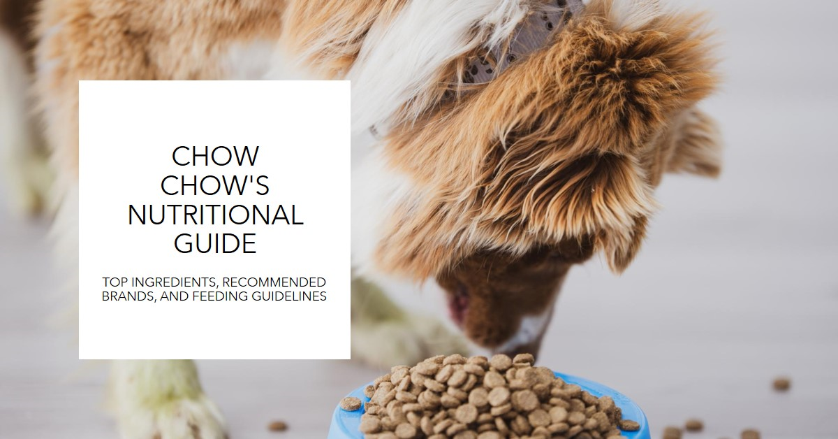 Best Dog Food for Chow Chows