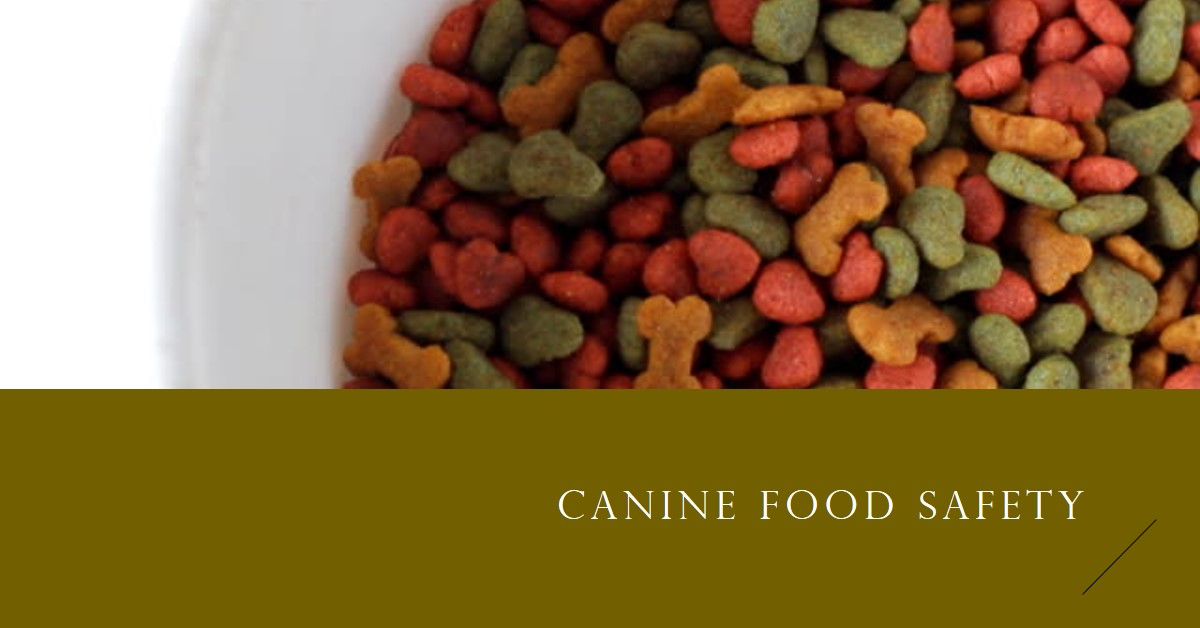 Foods Are Toxic for Dogs