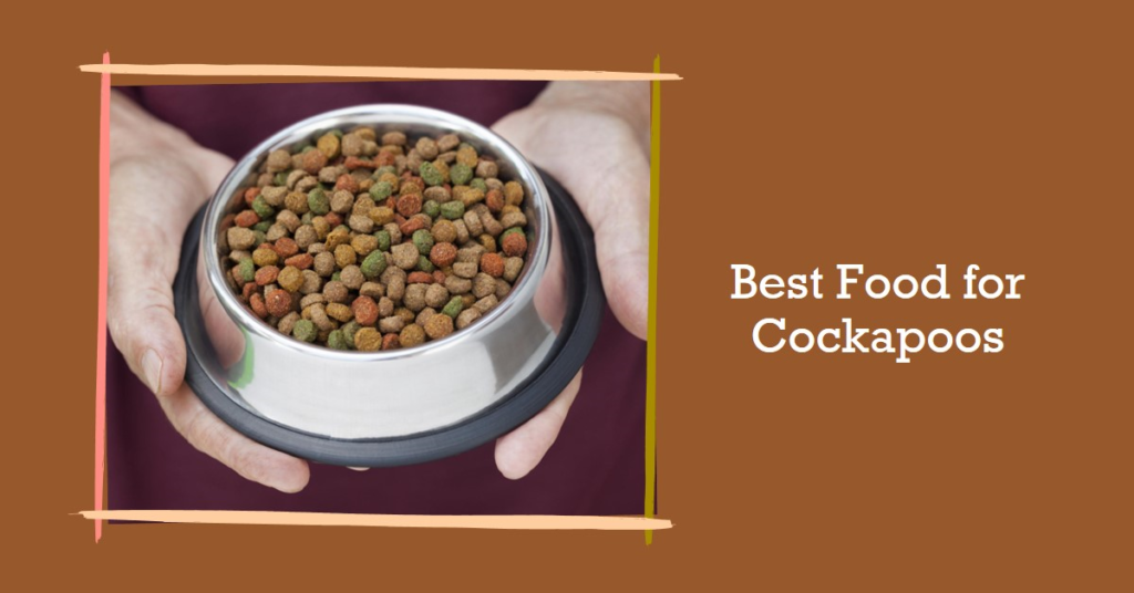 Best Wet Food for Cockapoo Puppy