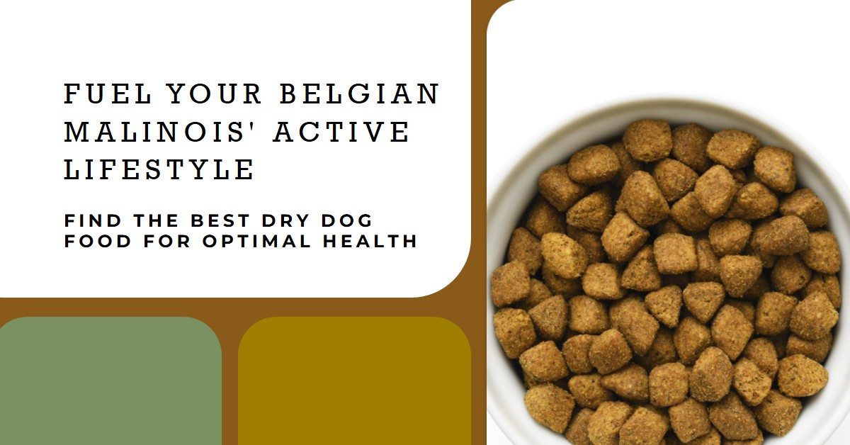 Best Dry Dog Food for Belgian Malinois