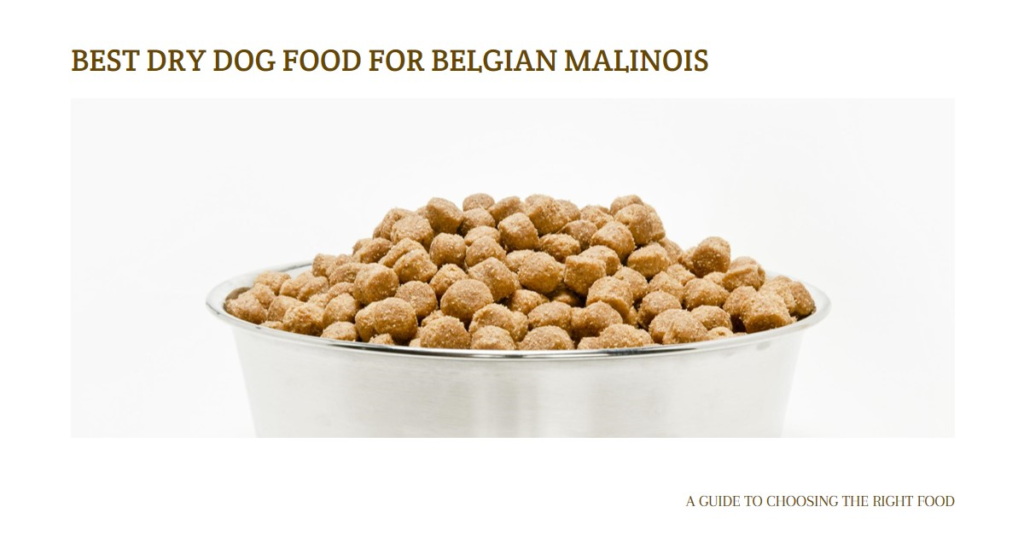 Best Dry Dog Food for Belgian Malinois Reddit