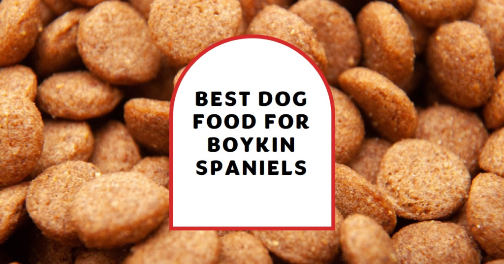 Best Dog Food for Boykin Spaniels