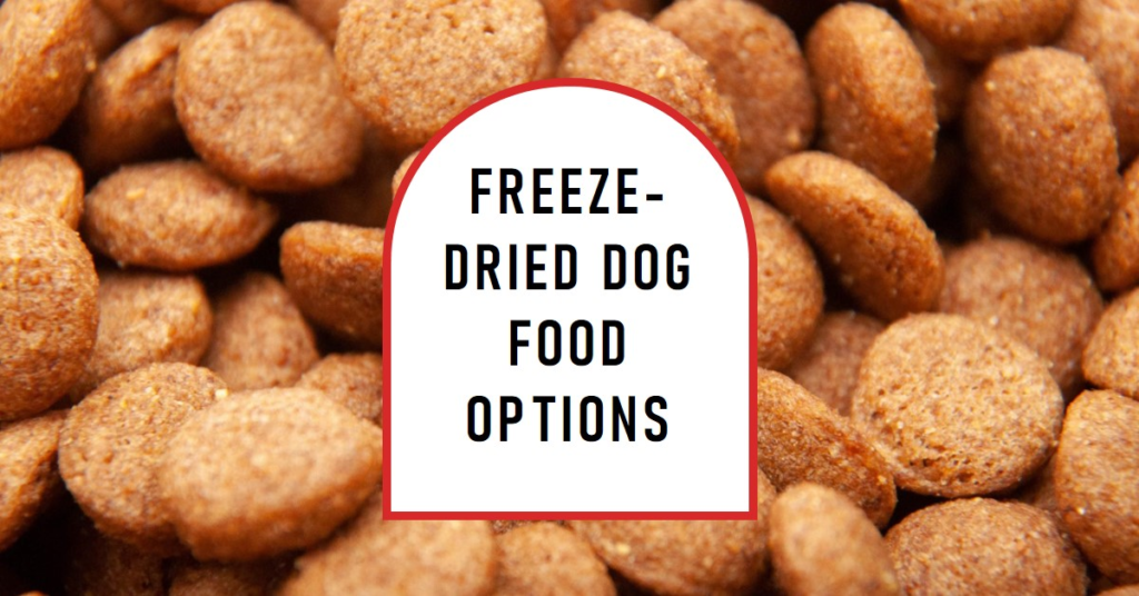 Best Freeze-Dried Dog Food for Large Dogs