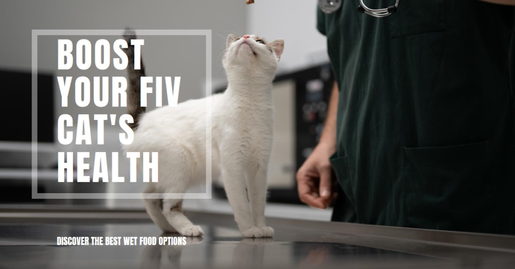 Best Wet Food for FIV Cats