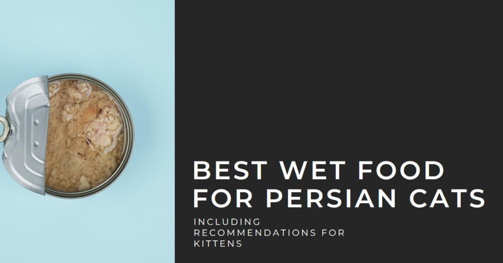 Wet Foods for Persian Cats