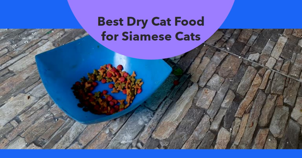 Best Dry Cat Food for Siamese Cats