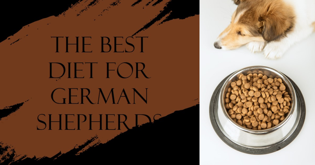 German Shepherd Diet Chart