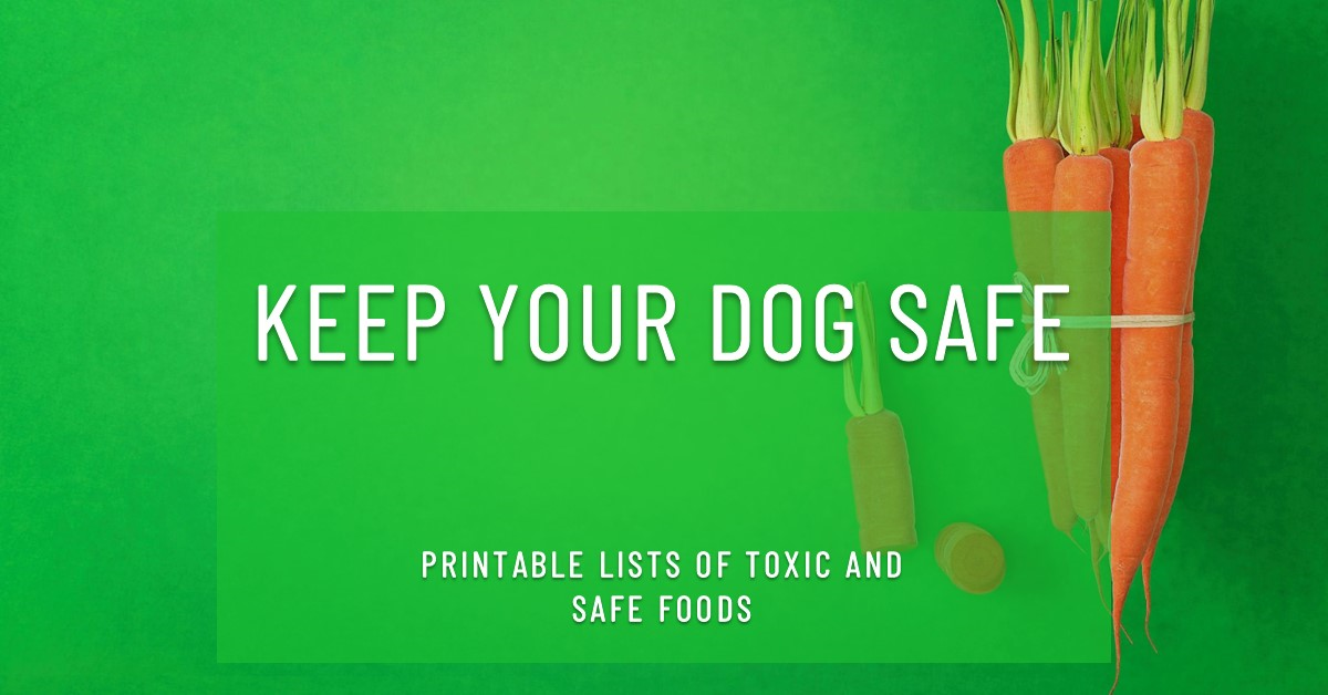 Printable list of toxic foods for dogs