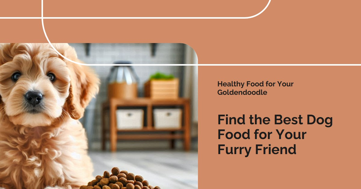 best dog food for Goldendoodles