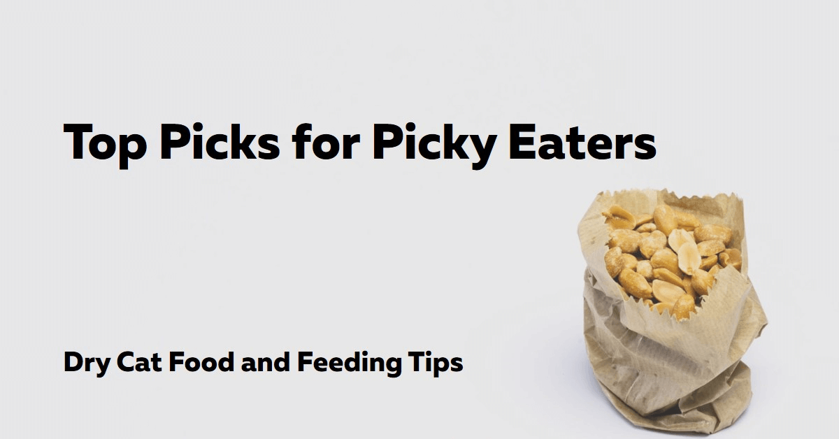 best dry cat food for picky eaters