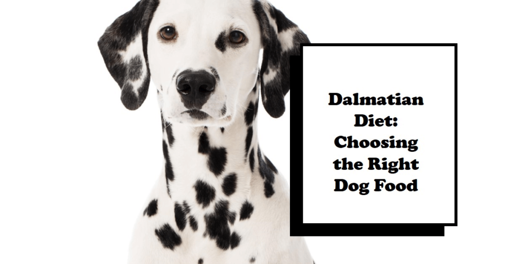 Best Dog Food for Dalmatians