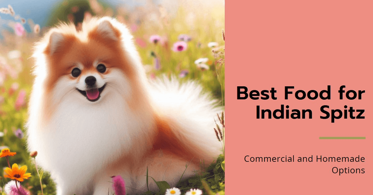 best dog food for Indian Spitz