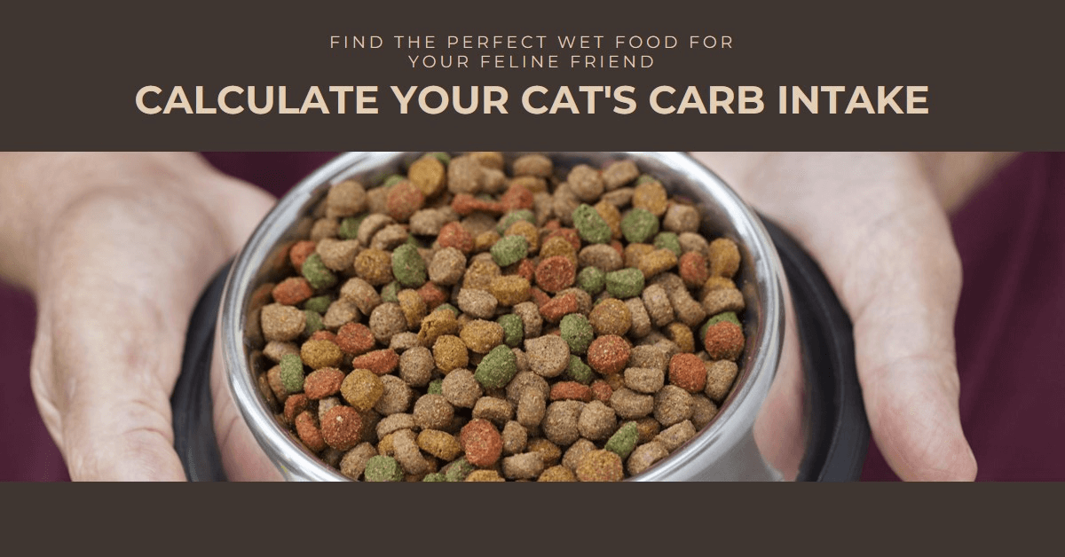 Cat Food Carb Calculator