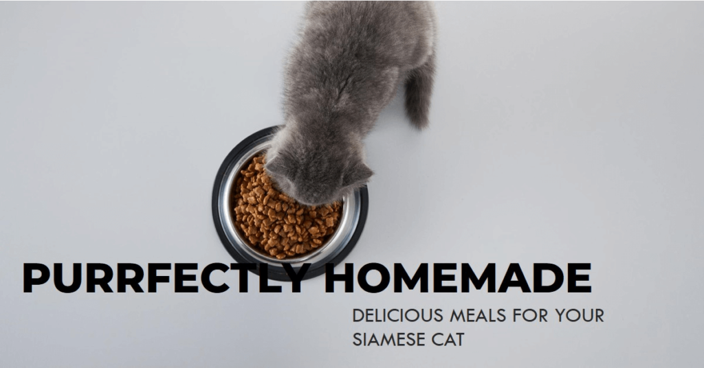 Homemade Food for Siamese Cat