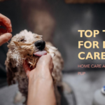 100 Dog Care Tips at Home