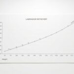 Lab Dog Growth Chart