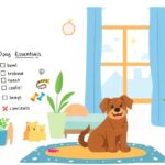 Small Apartment Dog Essentials Checklist
