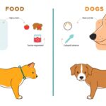 Cat Food vs Dog Food Chart