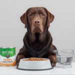 Dog Food Calculator Wet and Dry